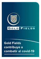 Gold Fields 2021