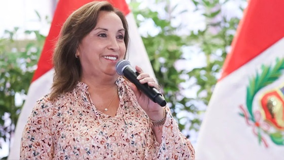 Dina Boluarte pide «tregua» al Congreso ante nueva moción de vacancia por viajes al extranjero